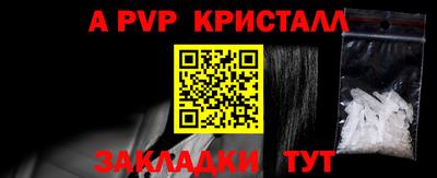 кокс Гатчина