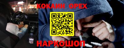 кокс Гатчина