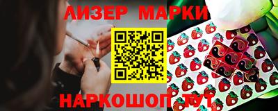 кокс Гатчина