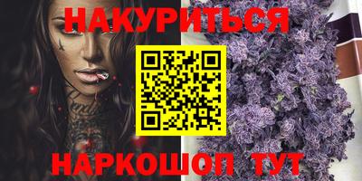 кокс Гатчина