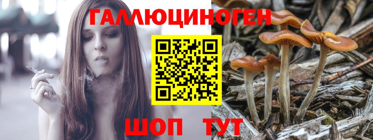 Галлюциногенные грибы GOLDEN TEACHER  Вход с VPN  Нижнекамск  Галлюциногенные грибы GOLDEN TEACHER 